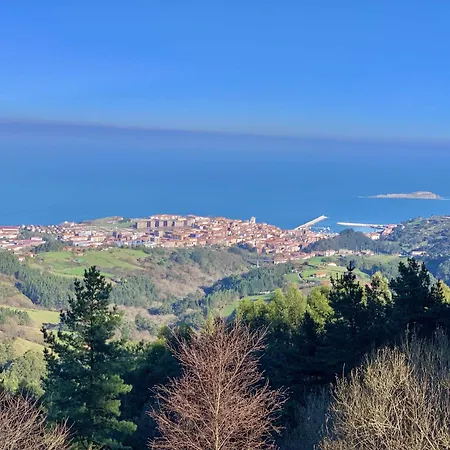 Goiz Etxea - Acogedor Piso En La Parte Antigua. Apartament *